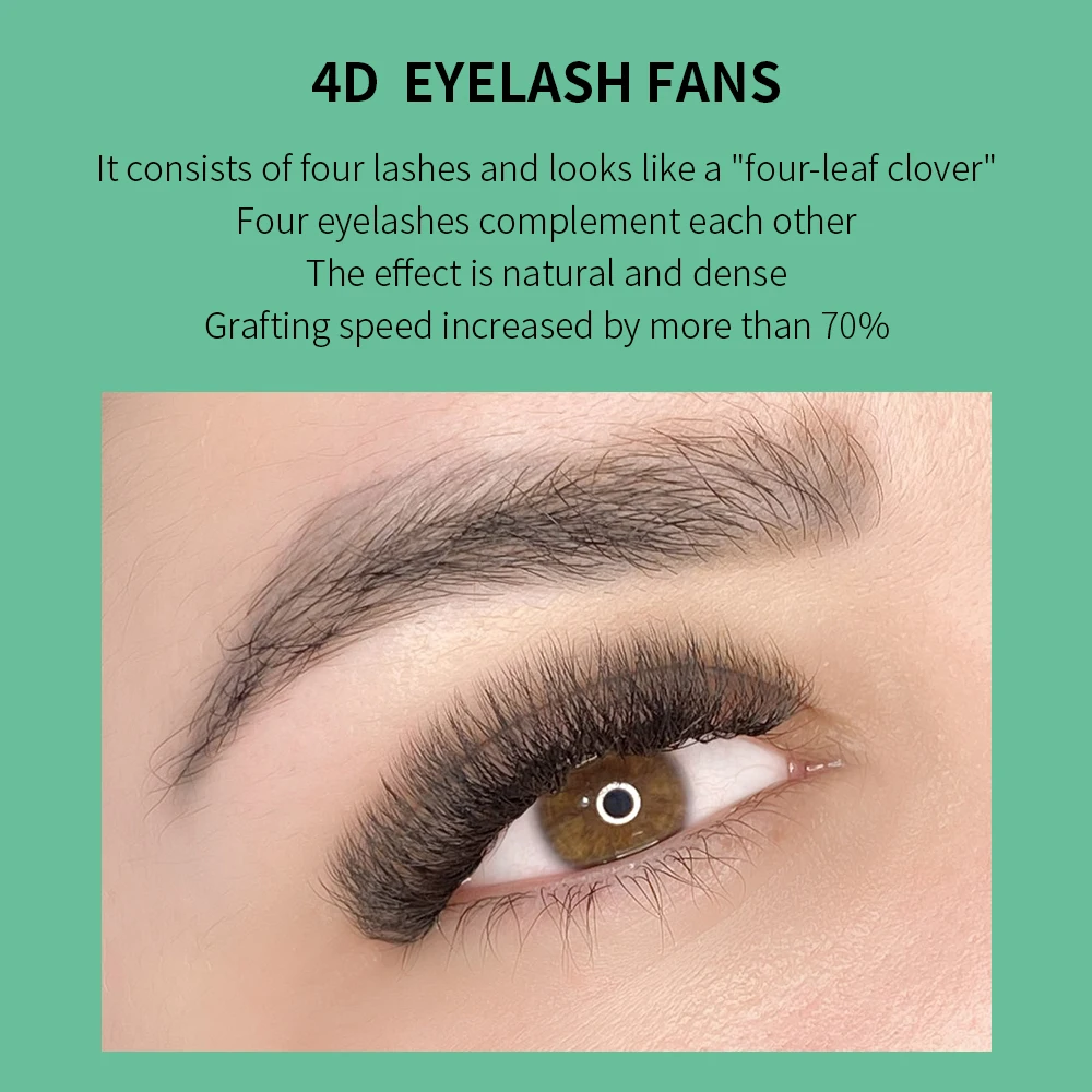 GLAMLASH-extensiones de pestañ - Eyelash Extension For Asian Eyes reseña y precio